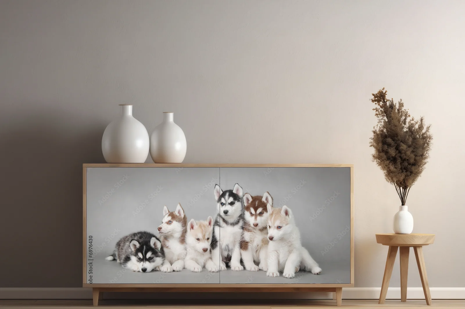 Urok urokliwego szczeniaka Siberian Husky