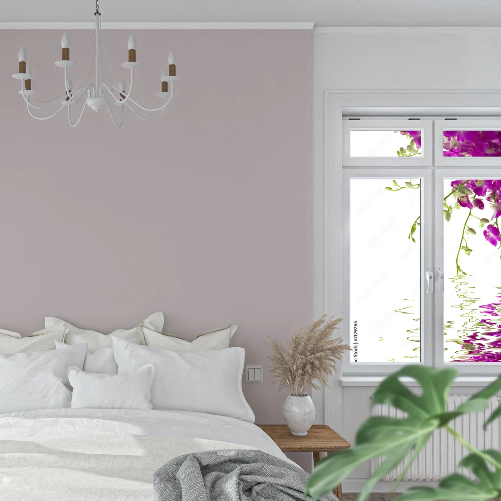 Eleganckie Orchidee w Baśniowej Bieli