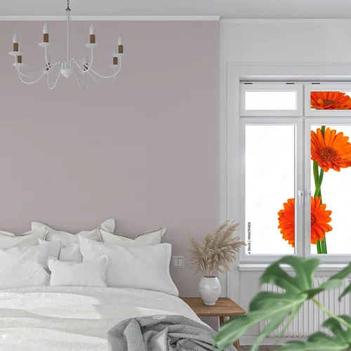 Promienna gerbera w odcieniach radości