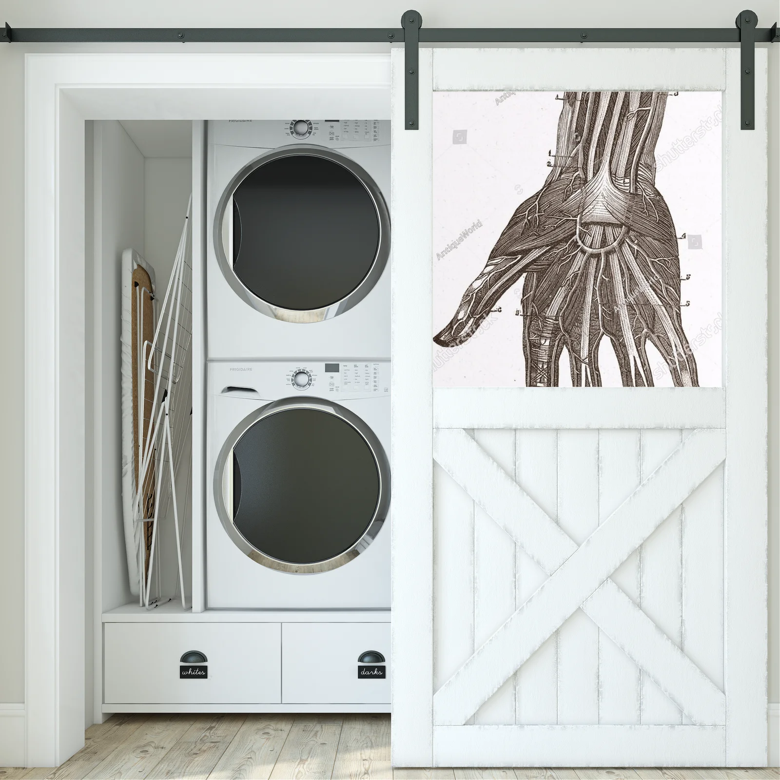 Wielowarstwowe odkrycia anatomii w vintage stylu