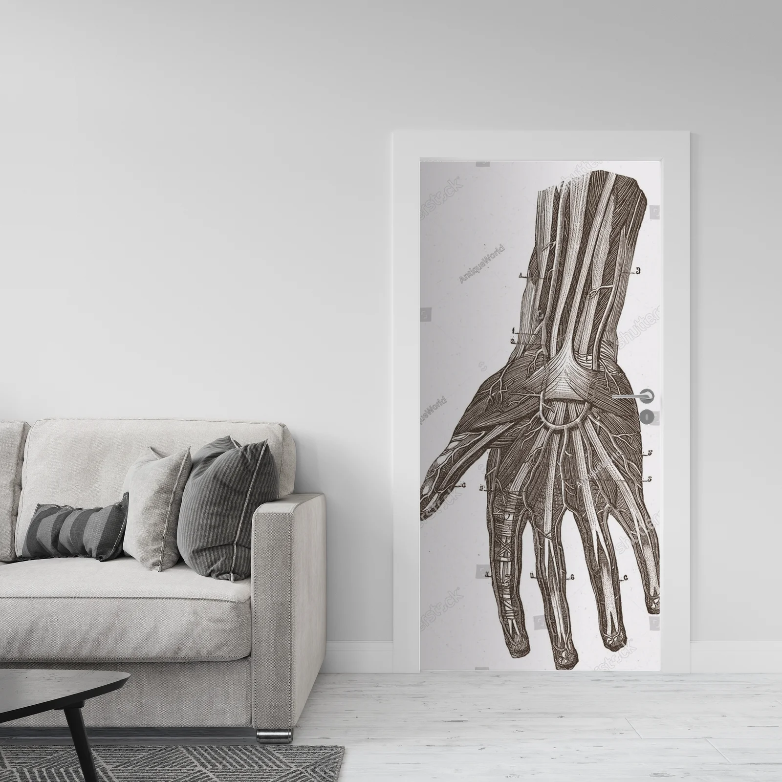Wielowarstwowe odkrycia anatomii w vintage stylu