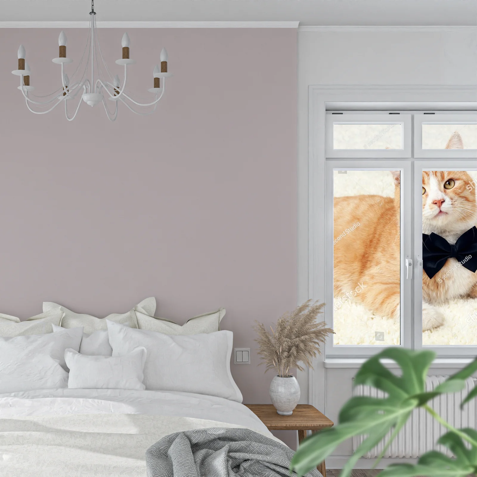 Gingerowy kot z czarną muszką na beżowym tle