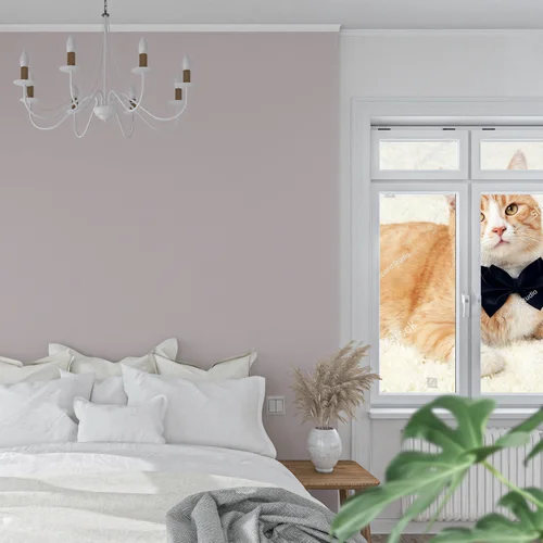 Gingerowy kot z czarną muszką na beżowym tle