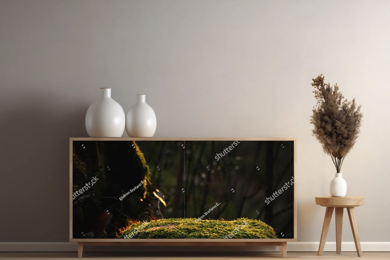 Mossowy kamień w świetle zachodu słońca