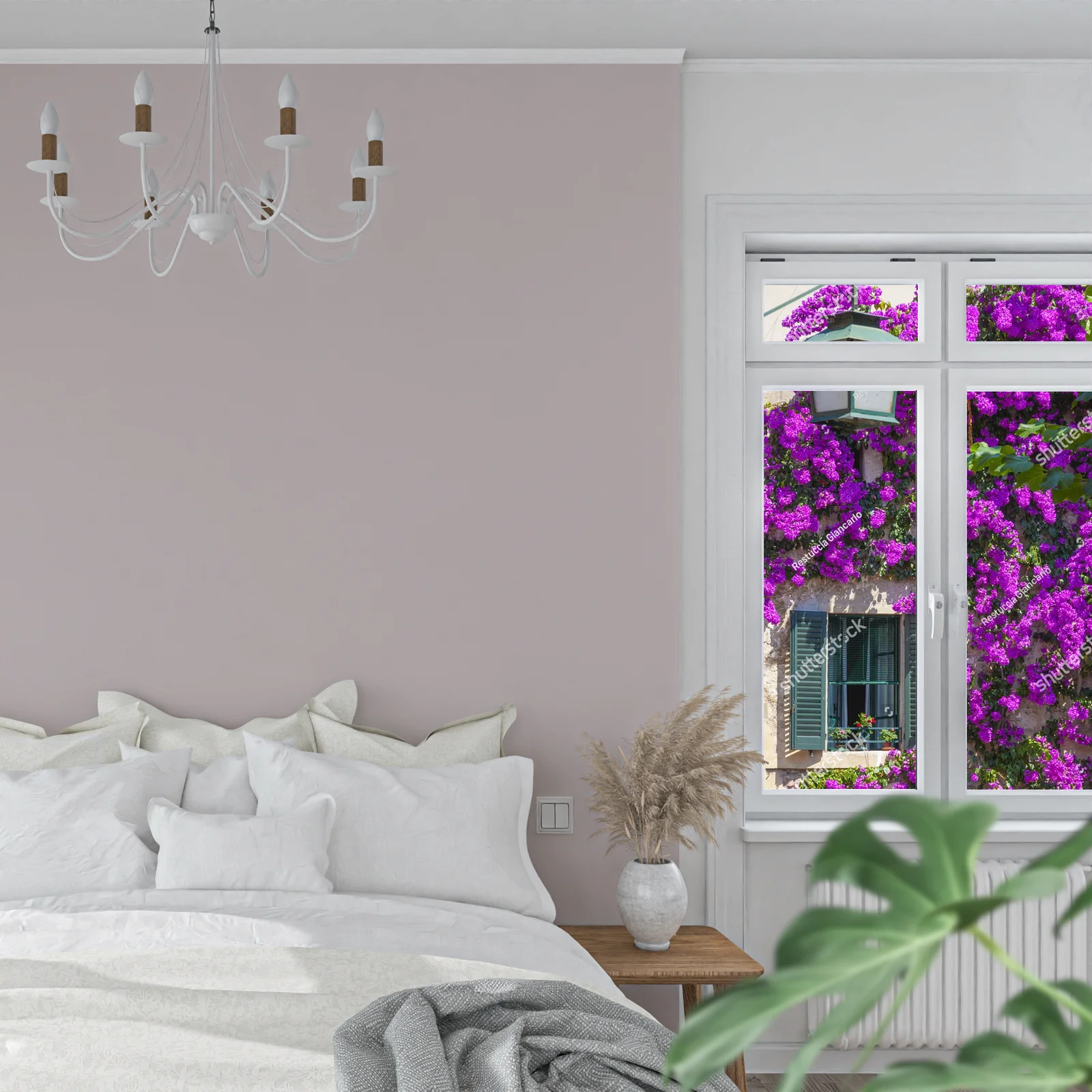 Bougainvillea: elegancja w pastelowych odcieniach
