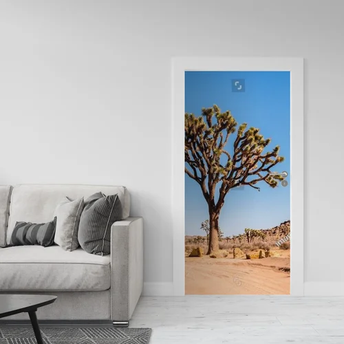 Sceniczne krajobrazy pustyni w Joshua Tree