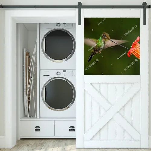 Magiczne stworzenia Amazonii w intensywnych barwach