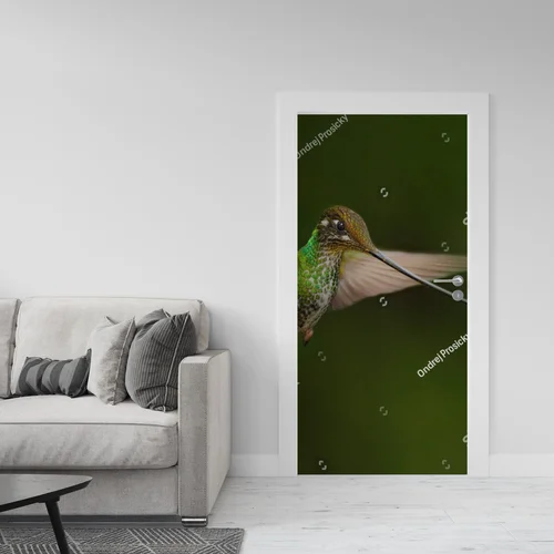 Magiczne stworzenia Amazonii w intensywnych barwach