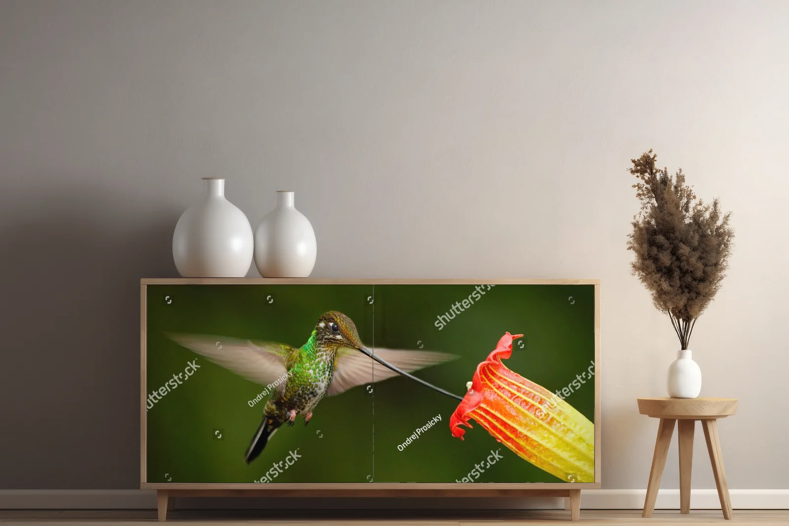 Magiczne stworzenia Amazonii w intensywnych barwach