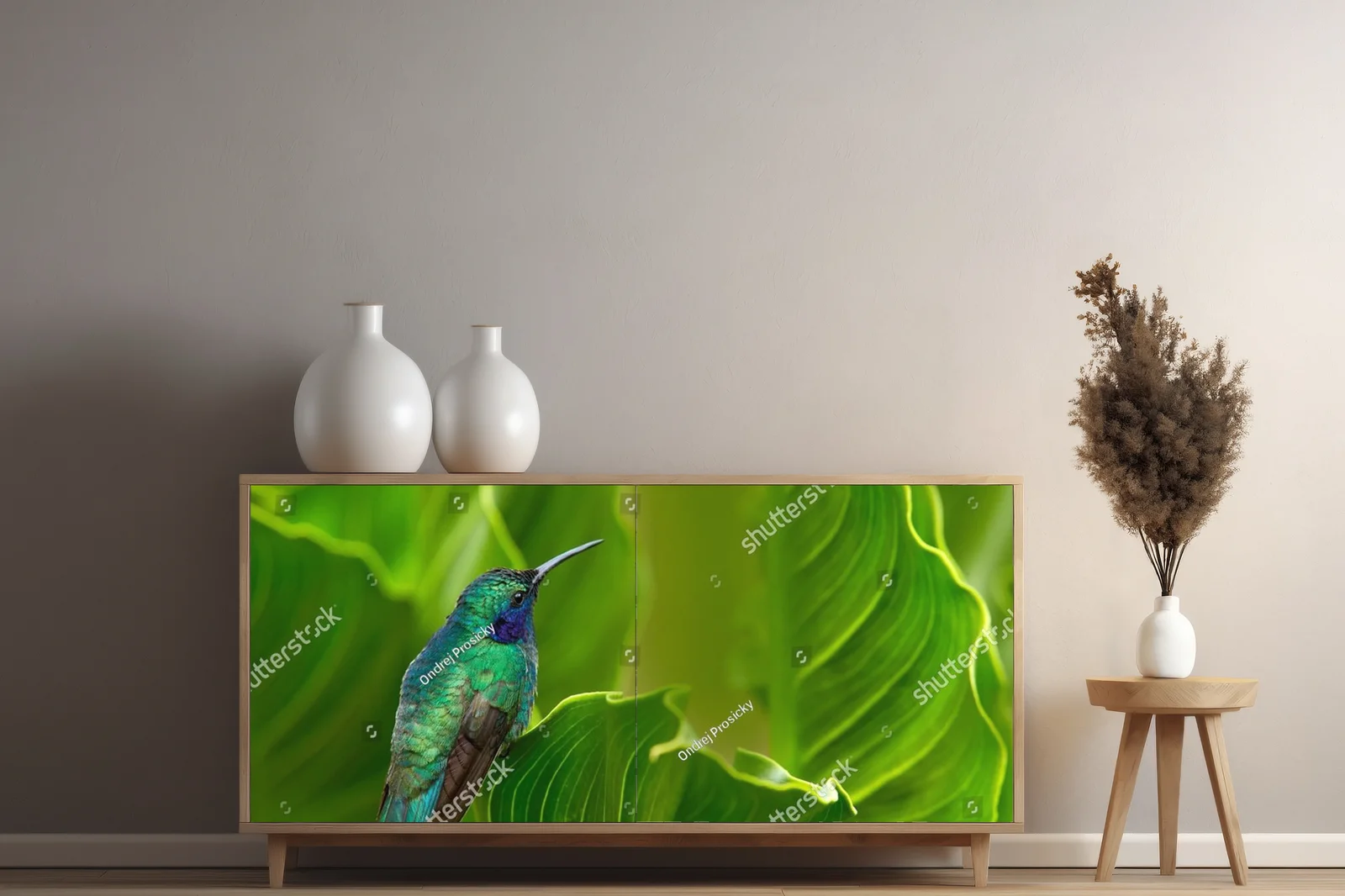Ekscytujący świat panamskich kolibrów w zieleni